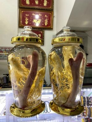 Cb55a713 Aba8 4fef 9477 603ce9fd4dc3