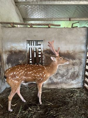 Z4506150654892 Ff4395a3d96472cd4f0300b612bebb63 300x400 1