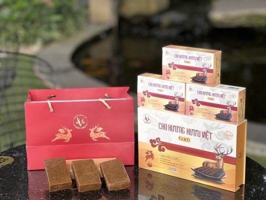 Z4563011303586 43ec89dae1c379cb882eaca9fe54612e 1 533x400 1