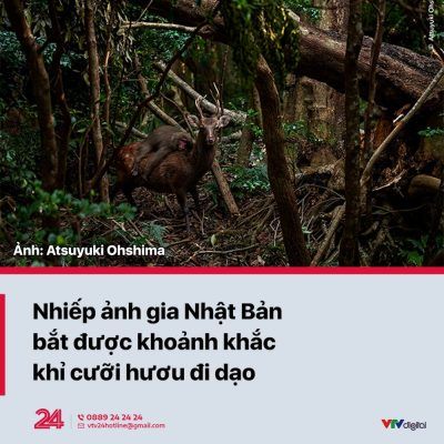 380710585 343442174723681 1299332940577456251 N 400x400 1