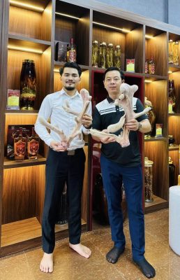 386082883 6882431415202089 6172268552956691956 N