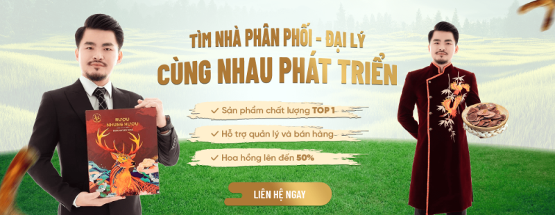 Nhung Huu Viet 1 800x310 1